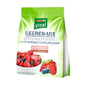 SPAR Vital Beeren-Mix gefriergetrocknet