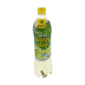 Rauch Happy Day Apfel Sprizz 0,5 Liter